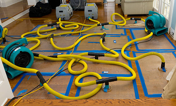 Professional Burst Pipe Water Damage technician working in Woodbridge, CA